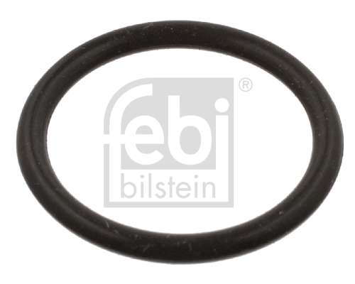 Seal, fuel filter